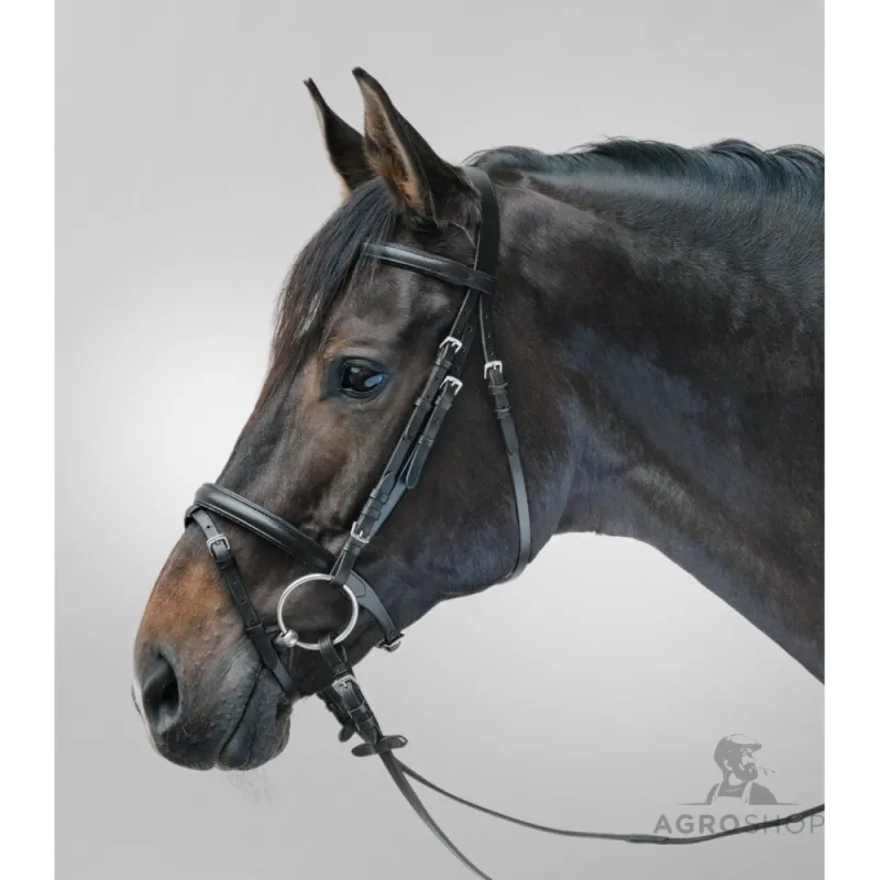 Bridle Lifestyle Star