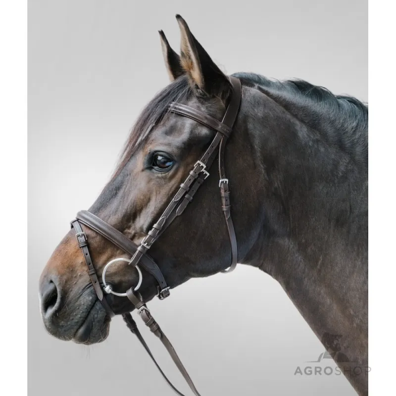 Bridle Lifestyle Star