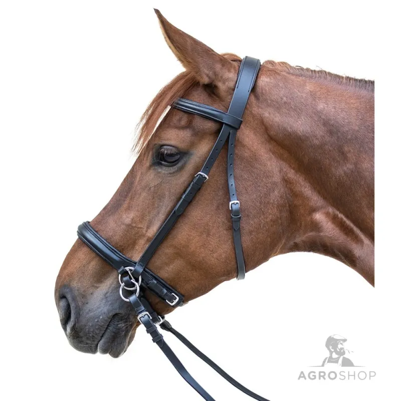 Bitless Bridle Star