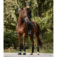 Dressage saddle pad Valencia Waldhausen