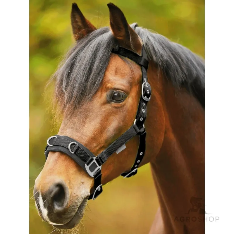 Lunging halter Economic Waldhausen