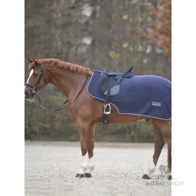 Exercise sheet Economic Waldhausen