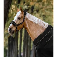 Halter Modern Rosé Waldhausen