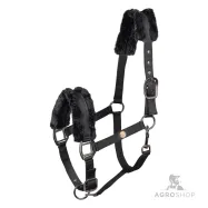 Halter Modern Rosé Waldhausen