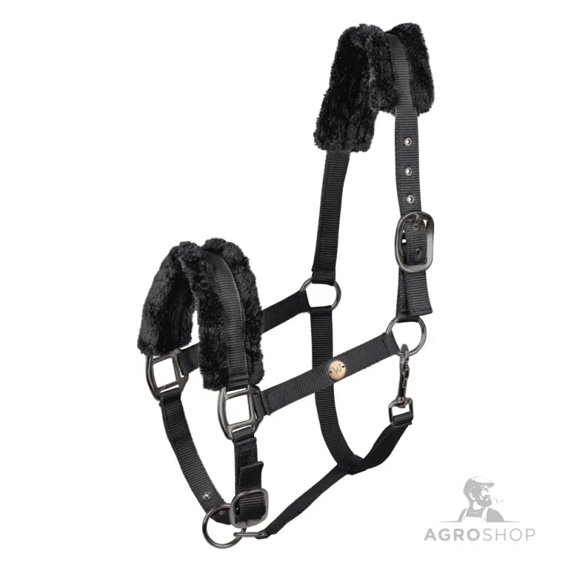 Halter Modern Rosé Waldhausen