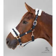 Halter Modern Rosé Waldhausen