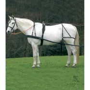 Single harness Economic Star