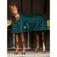 Stable rug Economic 100g Waldhausen