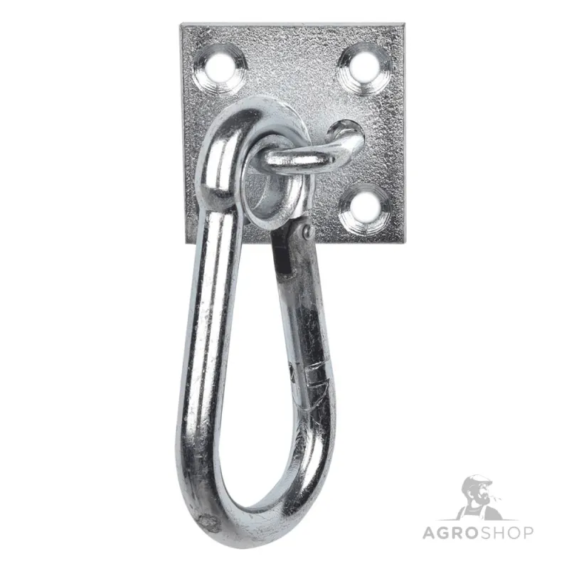 Carabiner Hook on Wall Plate Waldhausen