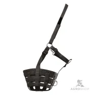 Muzzle Grazing Waldhausen