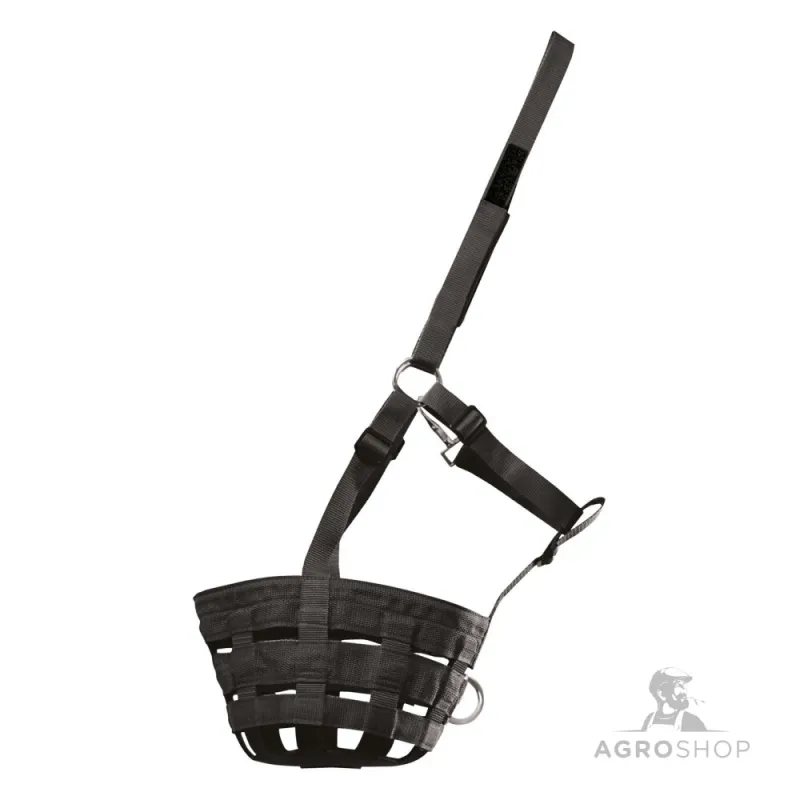 Muzzle Grazing Waldhausen