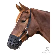 Muzzle Grazing Waldhausen