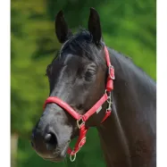 Halter Little Horse Waldhausen
