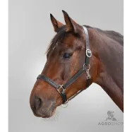 Leather halter Diamond Star