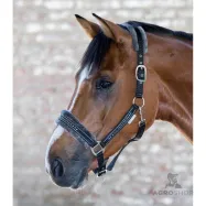 Halter Elegant Waldhausen