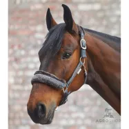 Halter Elegant Waldhausen