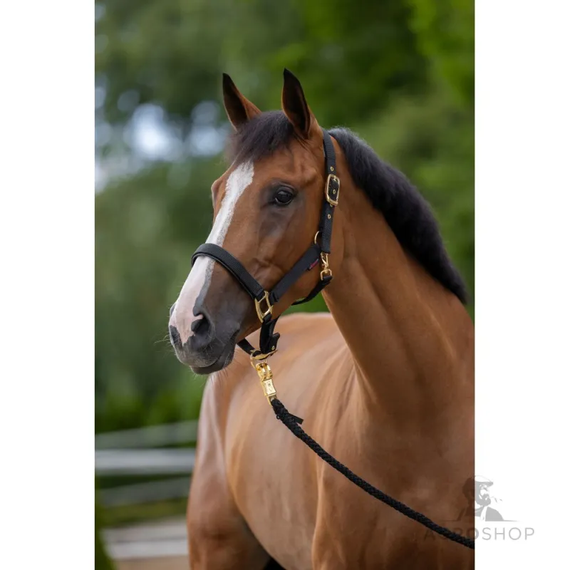 Halter TopLine Covalliero