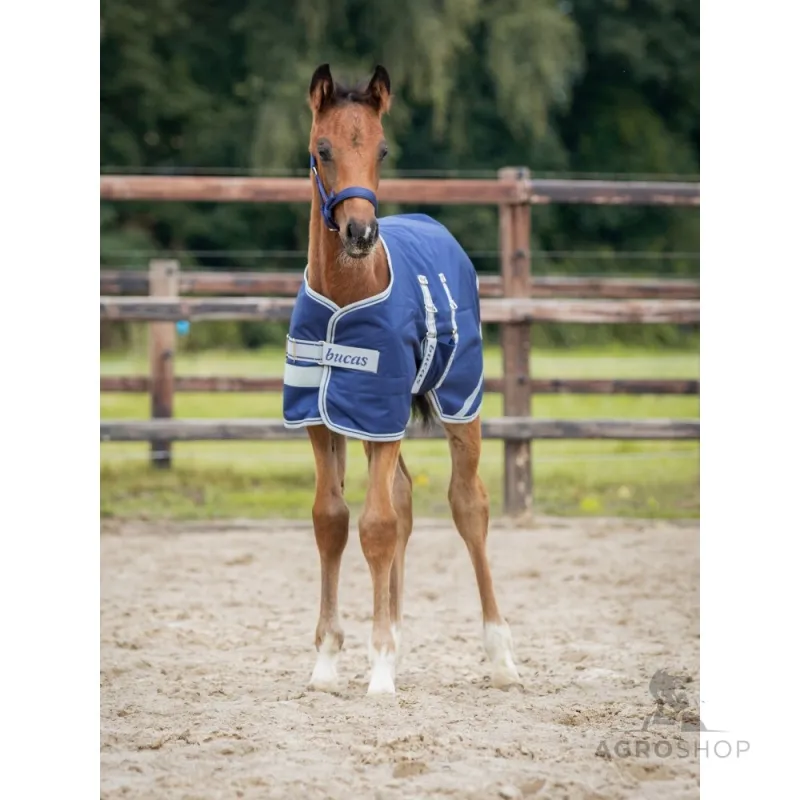 Foal Turnout 50g Bucas