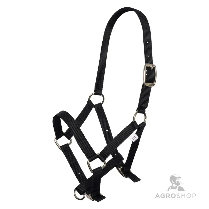 Foal Halter Imperial Riding