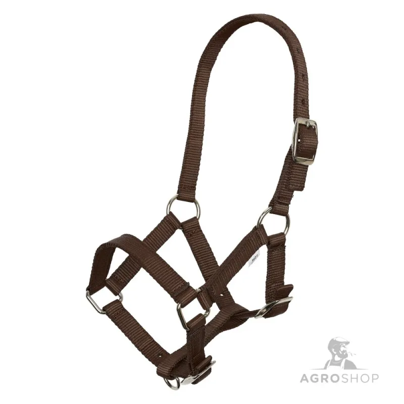 Foal Halter Imperial Riding