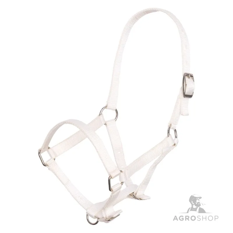 Foal Halter Imperial Riding