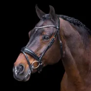 Bridle Olympia Imperial Riding