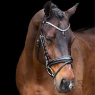 Bridle Olympia Imperial Riding