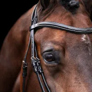 Bridle Legacy HV Polo