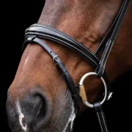 Bridle Legacy HV Polo