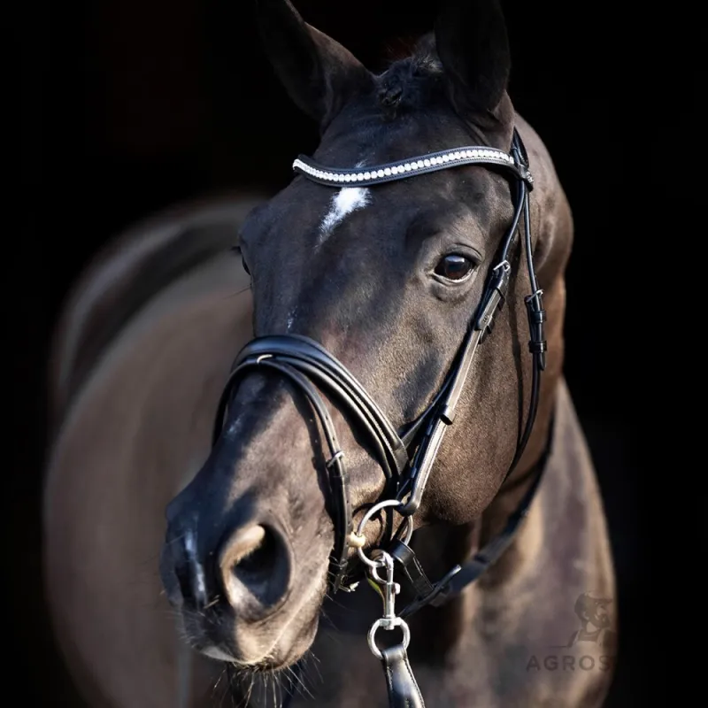 Bridle Legacy Deluxe HV Polo