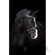 Bridle Fria Imperial Riding