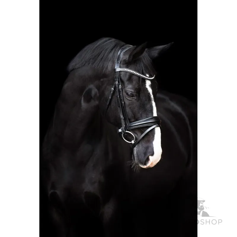 Bridle Fria Imperial Riding