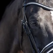 Weymouth bridle Legacy Deluxe HV Polo