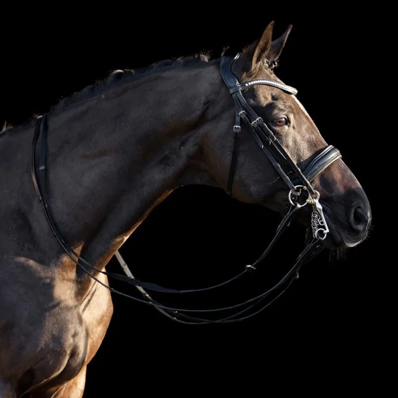Weymouth bridle Legacy Deluxe HV Polo