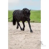 Double lunging rein Free Ride Imperial Riding