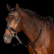 Thiedeman Core Imperial Riding