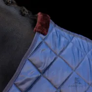 Stable rug Jet 100g HV Polo