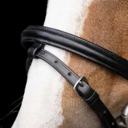 Shetty bridle Stormy Imperial Riding