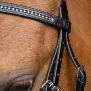 Shetty bridle Stormy Imperial Riding