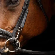 Chambon Core Imperial Riding