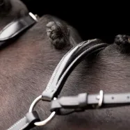 Martingale Legacy HV Polo