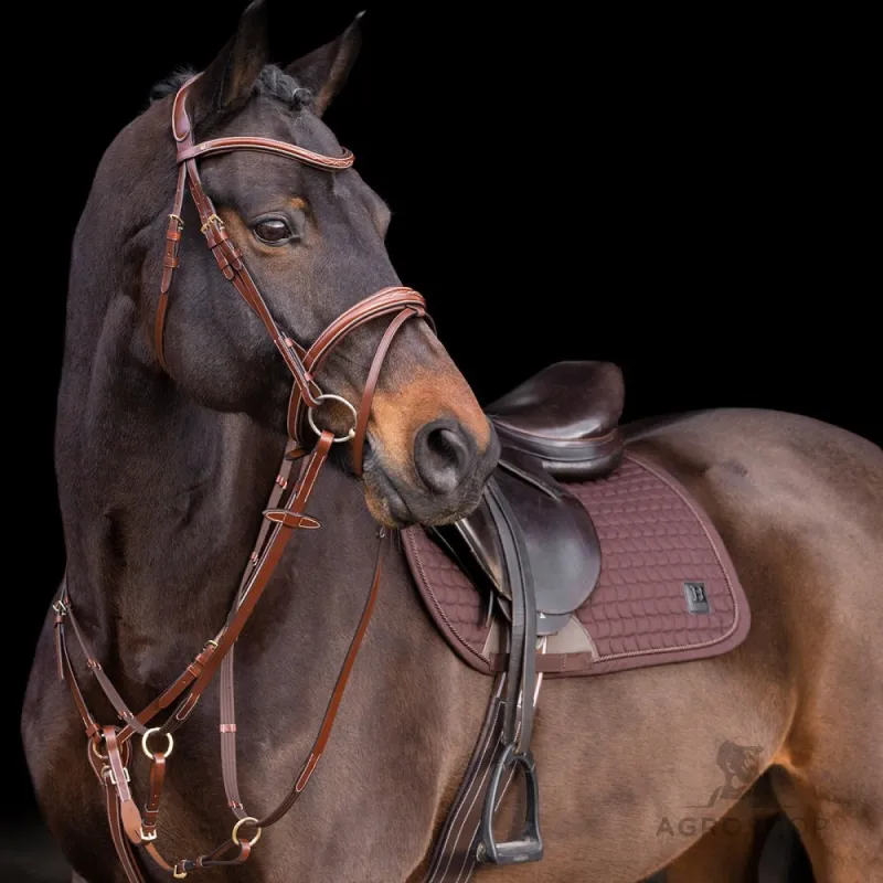 Martingale Legacy HV Polo