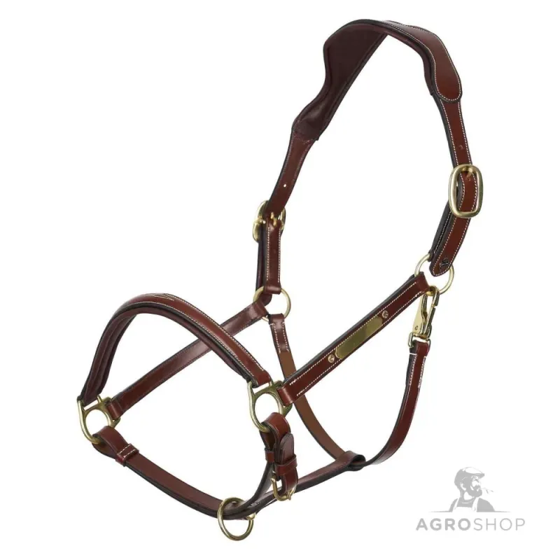 Leather halter Legacy HV Polo