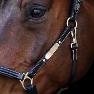 Leather halter Legacy HV Polo