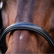 Leather halter Legacy HV Polo