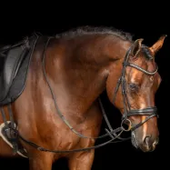 Leather side reins Core Imperial Riding