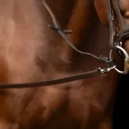 Leather side reins Core Imperial Riding