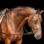 Leather side reins Core Imperial Riding