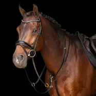 Martingale Core Imperial Riding