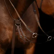 Martingale Core Imperial Riding